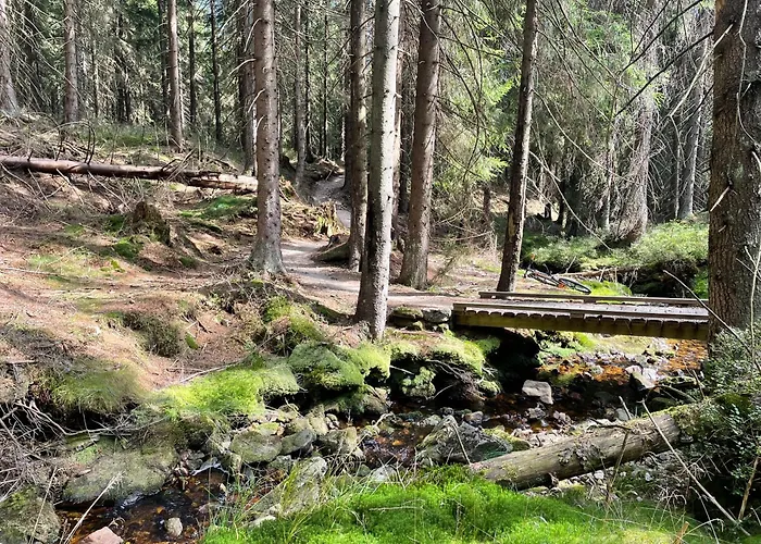 Nomad * Schreiberhau